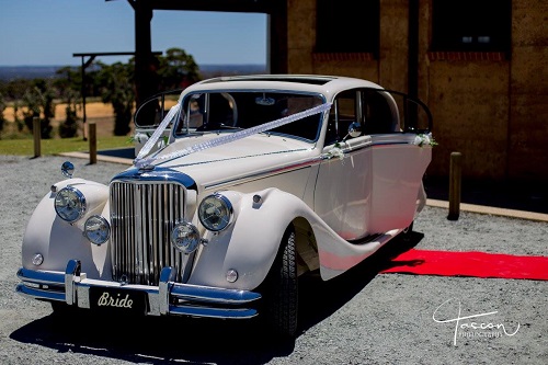 Jaguar Mark 5, Perth Limo Hire, Limo Hire Perth, Wedding Cars, Perth Wedding Cars, Classic Cars, Limo Perth