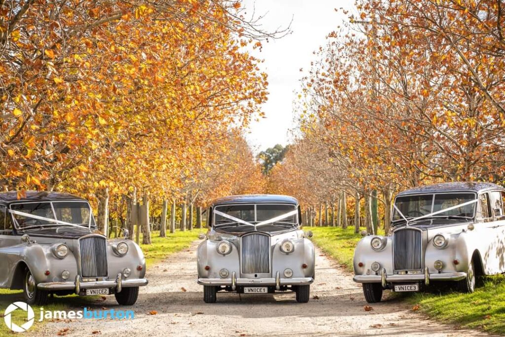 Austin Princess - Limo Hire Perth - Wedding Cars Austin Princess, Limo Hire Perth, Perth Wedding Cars, Wedding Car Hire, Perth Limo Hire, Limousine Hire, Limo Hire, Car Hire, Jaguar, Rolls Royce