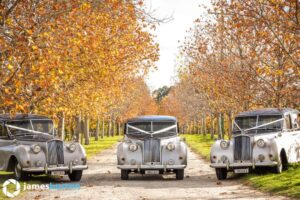 Austin Princess - Limo Hire Perth - Wedding Cars Limo Hire Perth, Perth Limo Hire, Wedding Cars Perth, Perth, Limo, Limousine, Car Hire, Tours, School Ball, School Ball, Chev Limo, Chevy Limo, Hummer, Hummer Limo, H2 Limo