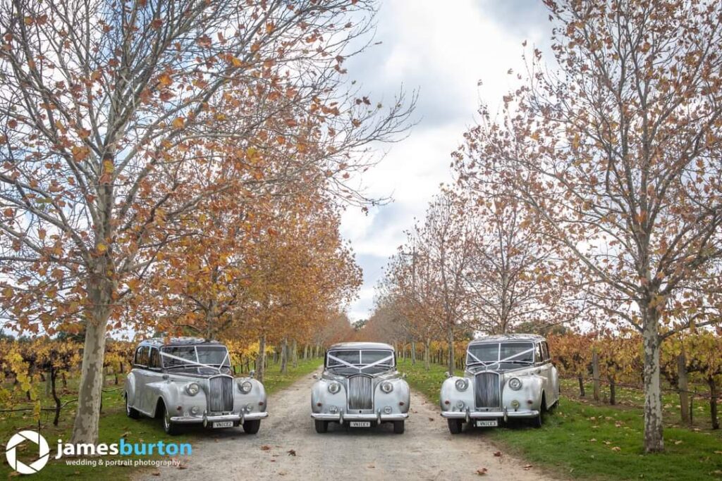 Austin Princess - Limo Hire Perth - Wedding Cars Austin Princess, Limo Hire Perth, Perth Wedding Cars, Wedding Car Hire, Perth Limo Hire, Limousine Hire, Limo Hire, Car Hire, Jaguar, Rolls Royce