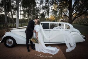 Jaguar mk5 Limousine - Limo Hire Perth - Wedding Cars Perth Limo Hire, Limo Hire Perth, Perth Wedding Cars, Easy Weddings, Perth School Balls, School Ball Perth, Wedding Cars Perth, Silver Lady Wedding Cars, Jaguar Limousine, Jaguar Limo
